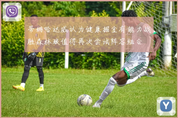 蒂姆哈达威认为健康掘金有能力战胜森林狼值得再次尝试阵容组合